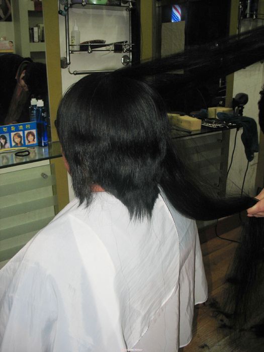 hezhitengfei cut long hair-NO.26