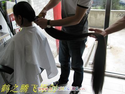 hezhitengfei cut long hair-NO.50(affordable)