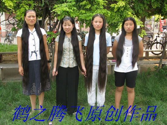 hezhitengfei cut 4 long hair-NO.65