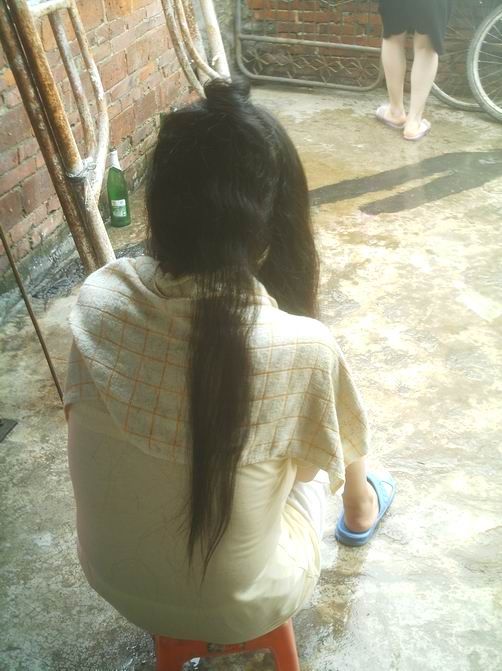 huqing cut 50cm hair