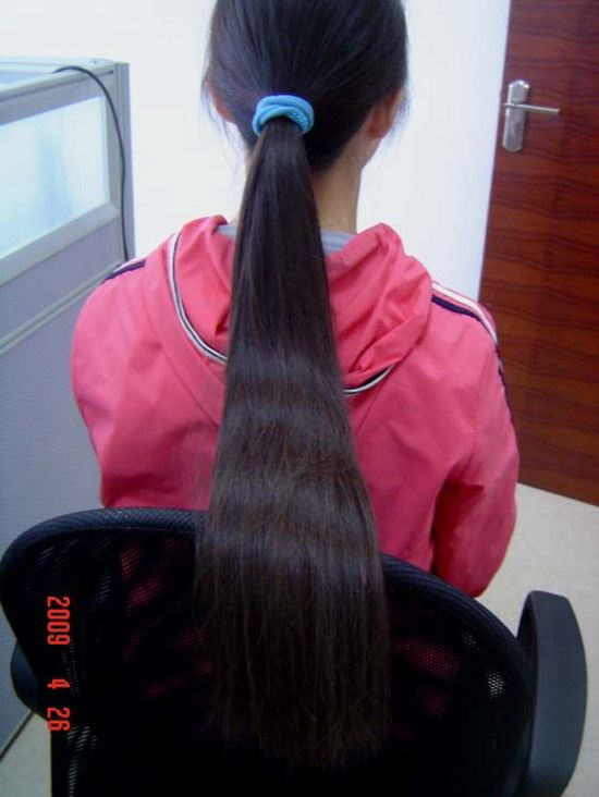 ww cut 3 long hair-NO.81(affordable)