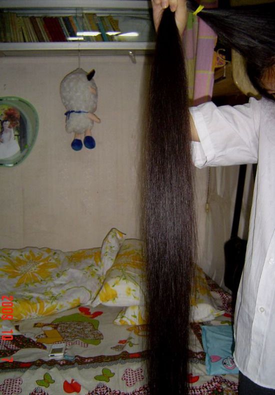 ww cut long hair-NO.121(affordable)
