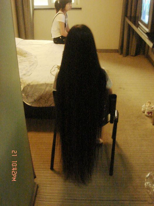 shibage cut 1 meter long hair