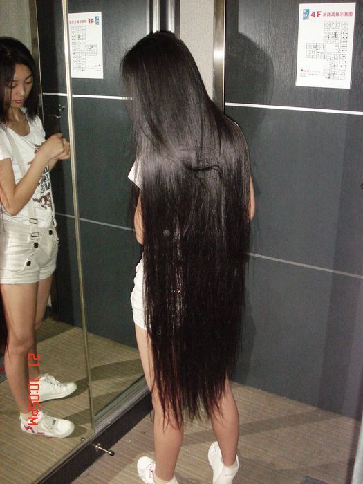 shibage cut 1 meter long hair