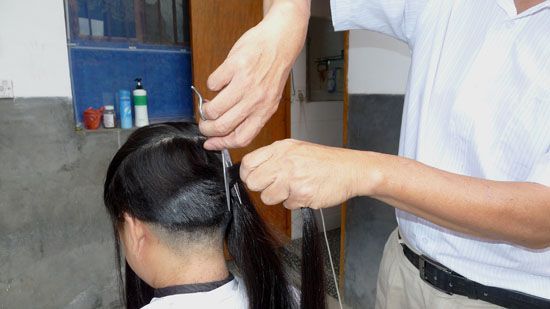 ww cut two 1.5 meter long hair