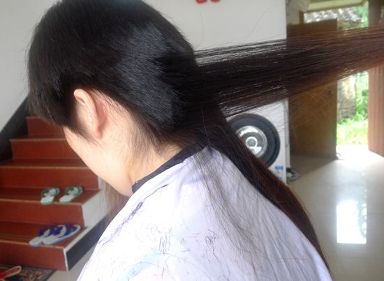 ww cut 47cm long hair-NO.392