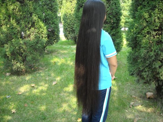 ww cut 94cm long hair-NO.428