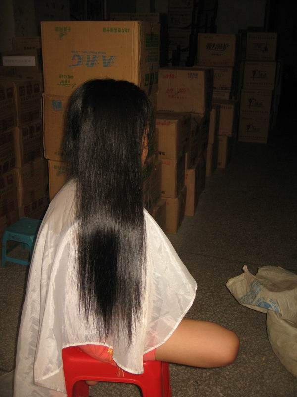 huqing cut 52cm long hair-NO.216