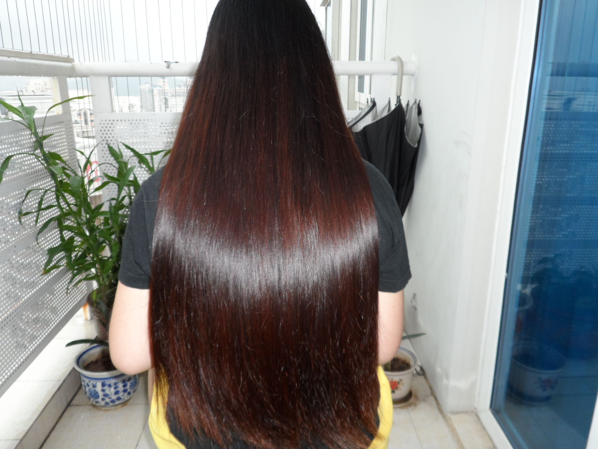 fazhimei cut 50cm long hair-NO.17