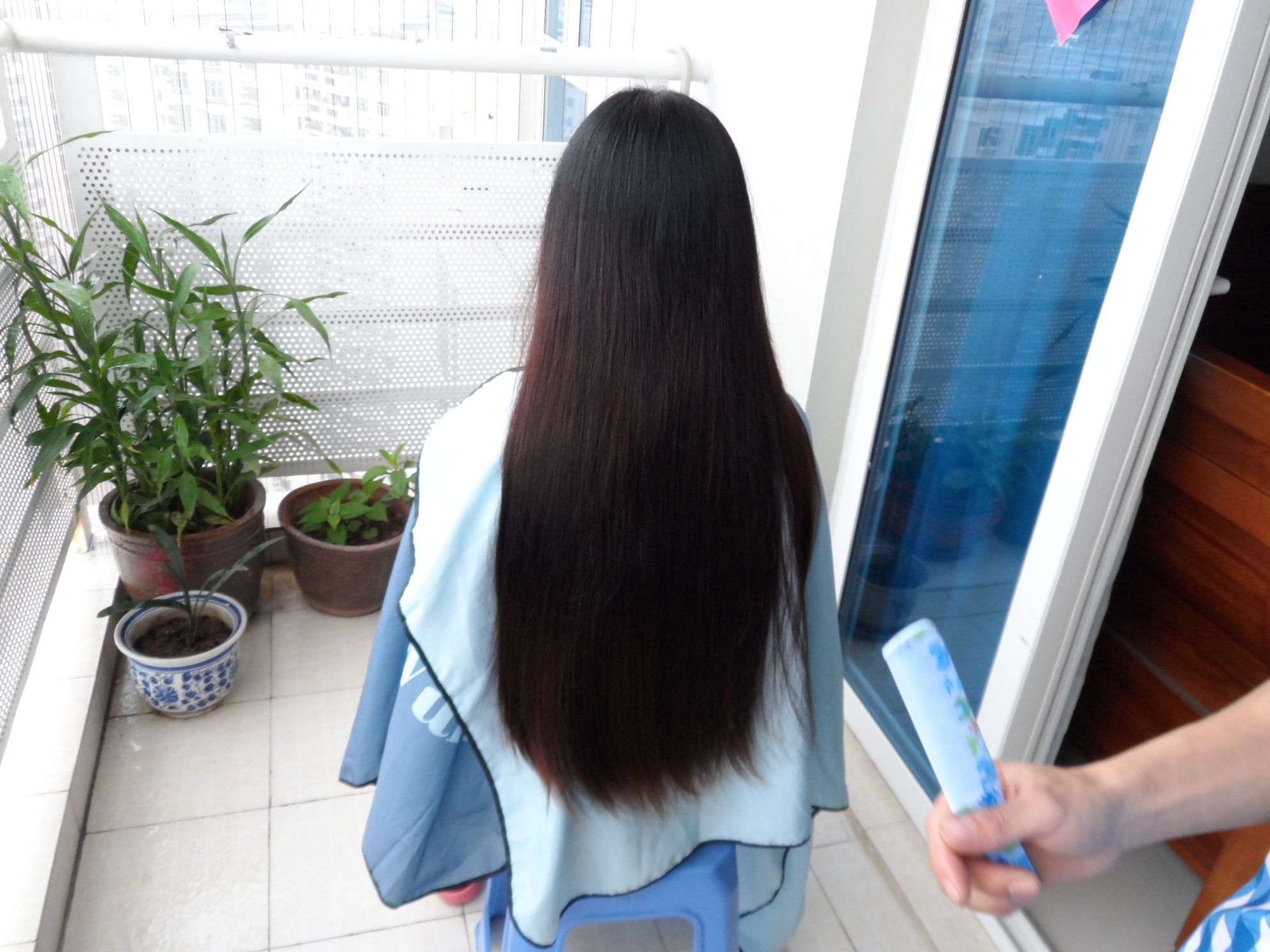 fazhimei cut 50cm long hair-NO.17