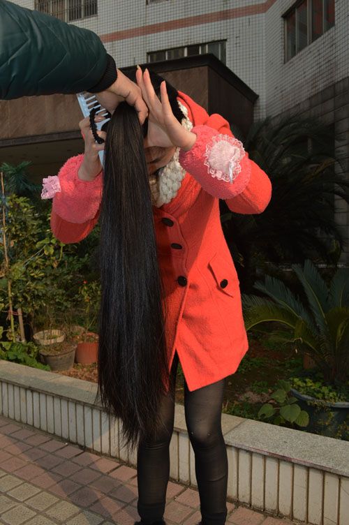 ww cut 83cm long hair-NO.544