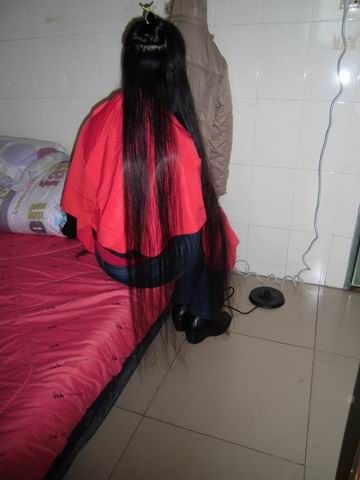 huqing cut 1.2 meter long hair-NO.230