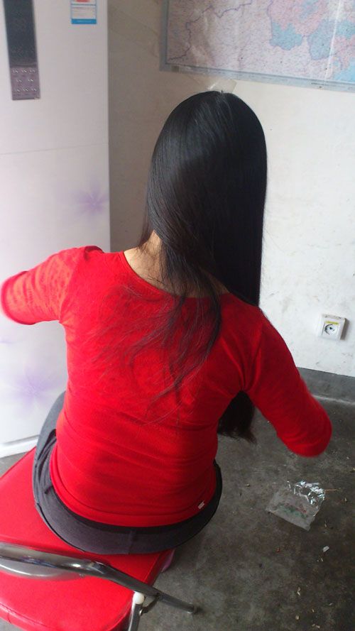 ww cut 61cm long hair-NO.588