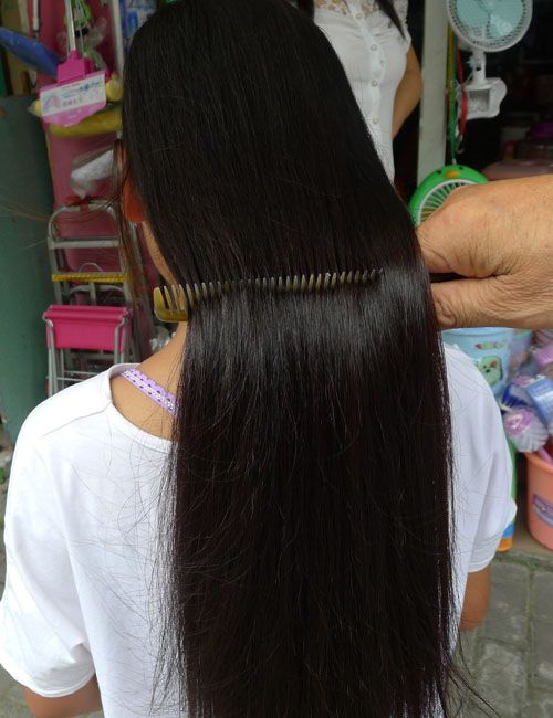 ww cut 62cm long hair of young student-NO.647A