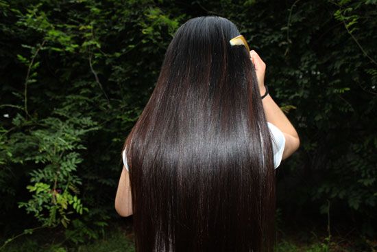 ww cut 65cm long hair-NO.657