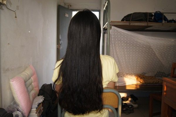 shenzhenmm cut 45cm long hair-NO.304