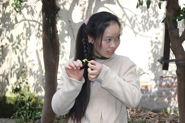 ww cut 65cm long hair-NO.773