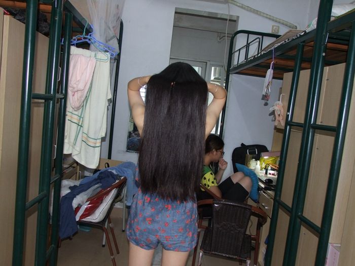 291931568 cut 50cm long hair