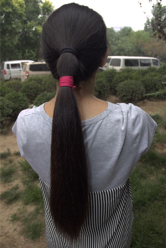 laogao cut 50cm long hair-NO.349