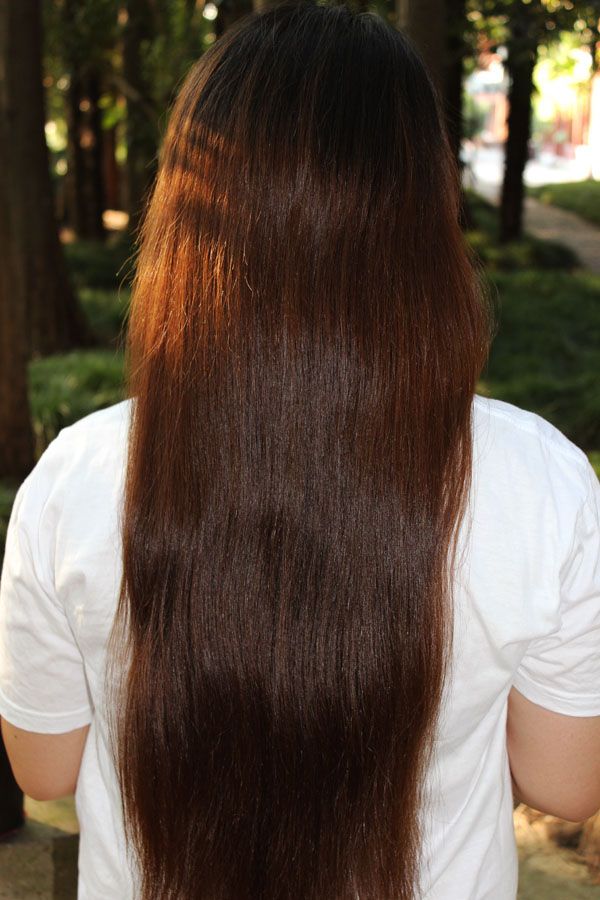ww cut 64cm long hair-NO.844