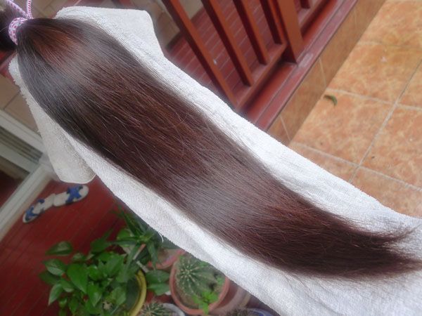 ww cut 47cm long hair-NO.916