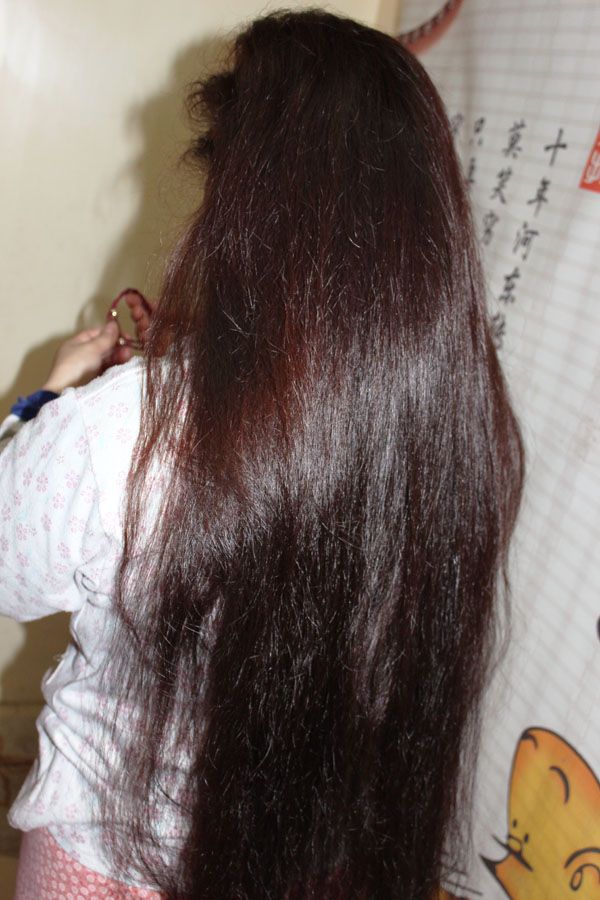ww cut 88cm long hair-NO.933